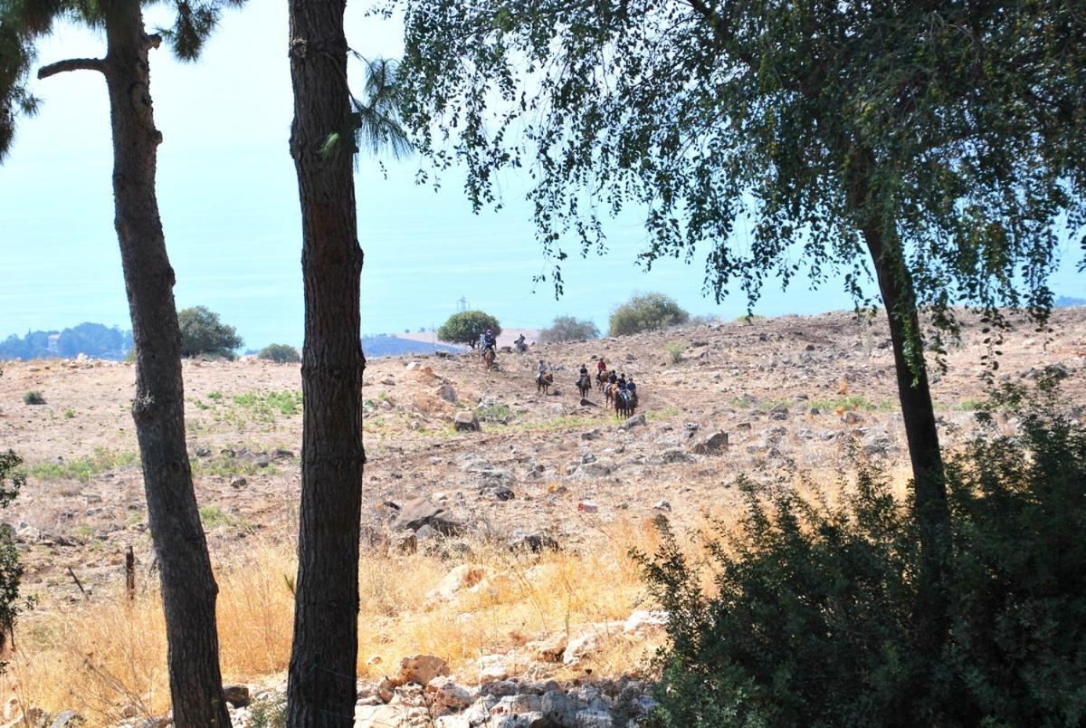 Vered Hagalil Holiday Village Hotel Chorazim Eksteriør billede